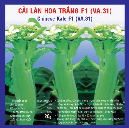Hạt giống cải làn - Ảnh 1